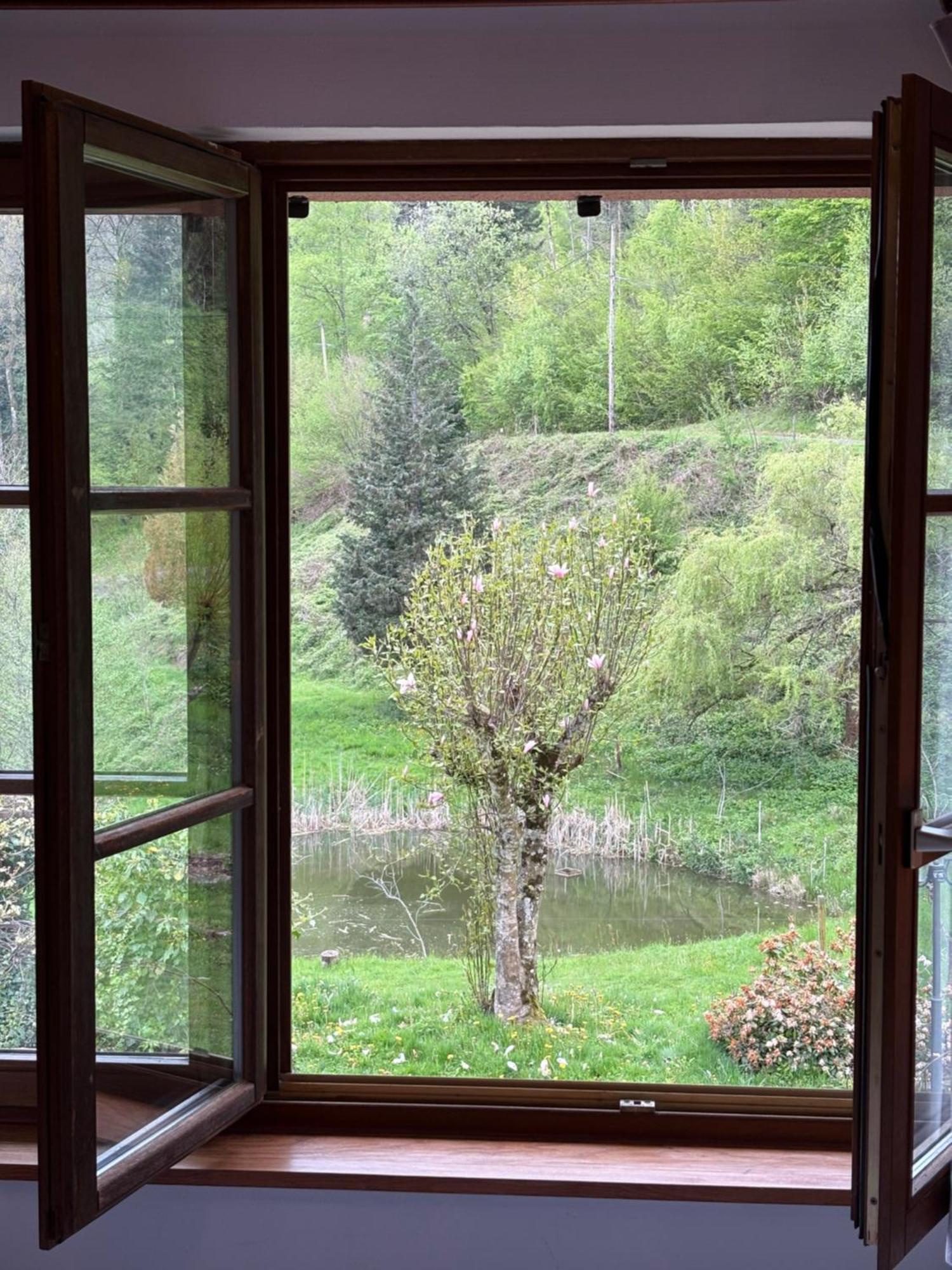La Belle Charbonniere Hotel La Grande Fosse Cameră foto